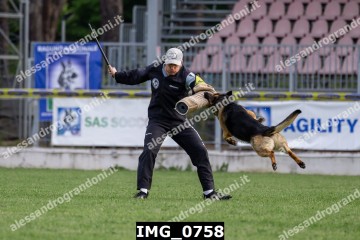 IMG_0758.jpg