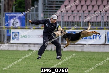 IMG_0760.jpg