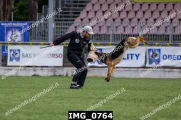 IMG_0764.jpg