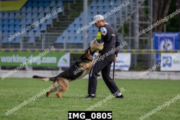 IMG_0805.jpg