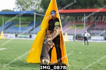 IMG_0878.jpg
