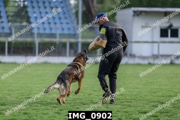 IMG_0902.jpg