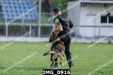 IMG_0916.jpg