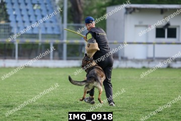 IMG_0918.jpg