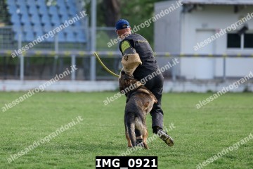 IMG_0921.jpg