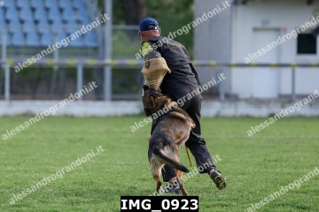 IMG_0923.jpg