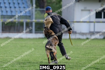 IMG_0925.jpg