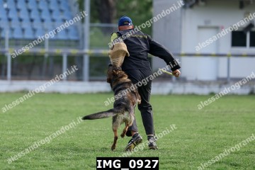 IMG_0927.jpg