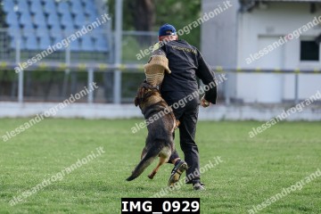 IMG_0929.jpg