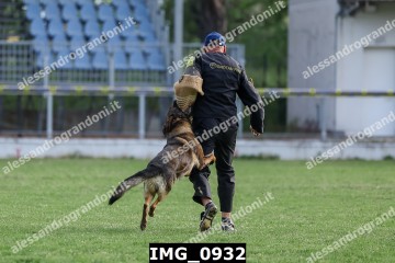 IMG_0932.jpg