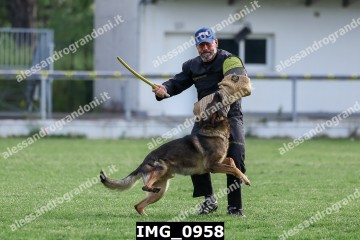IMG_0958.jpg
