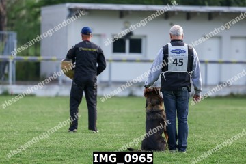 IMG_0965.jpg