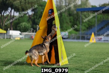 IMG_0979.jpg