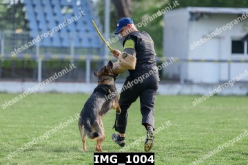 IMG_1004.jpg