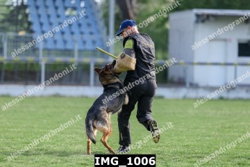 IMG_1006.jpg