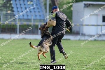 IMG_1008.jpg