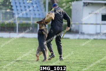 IMG_1012.jpg