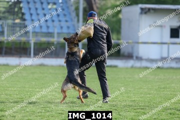 IMG_1014.jpg