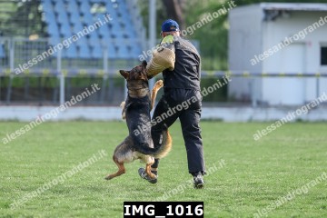 IMG_1016.jpg