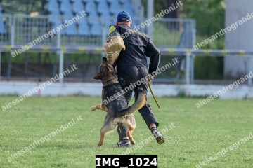 IMG_1024.jpg
