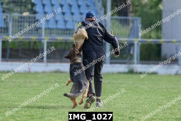 IMG_1027.jpg