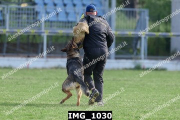 IMG_1030.jpg