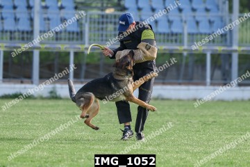 IMG_1052.jpg