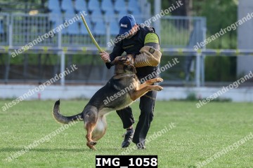 IMG_1058.jpg