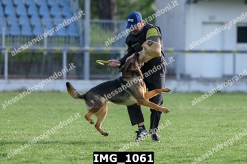 IMG_1061.jpg