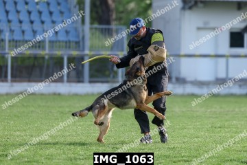 IMG_1063.jpg