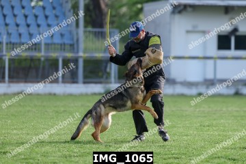 IMG_1065.jpg