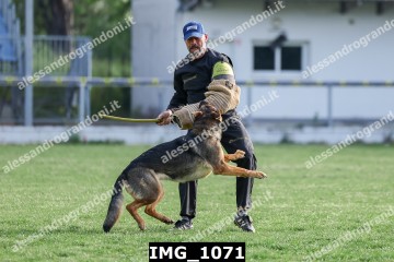 IMG_1071.jpg