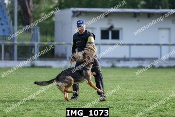 IMG_1073.jpg