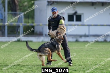 IMG_1074.jpg