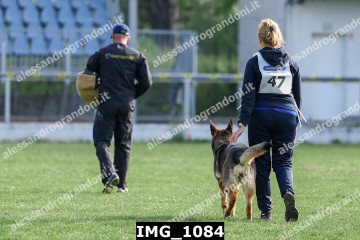 IMG_1084.jpg