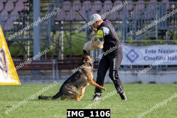 IMG_1106.jpg