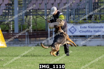 IMG_1110.jpg