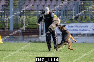 IMG_1114.jpg
