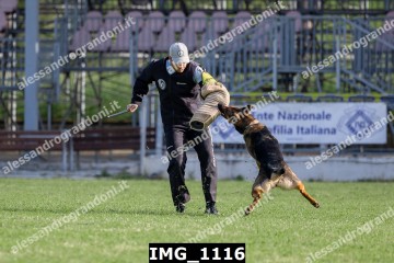 IMG_1116.jpg