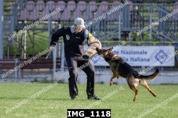 IMG_1118.jpg