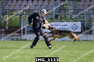IMG_1123.jpg