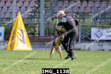 IMG_1138.jpg
