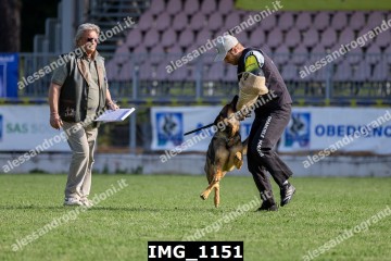 IMG_1151.jpg