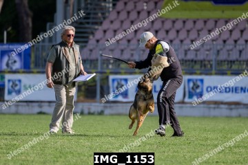 IMG_1153.jpg