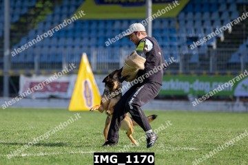 IMG_1170.jpg