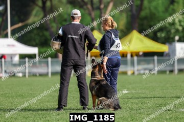 IMG_1185.jpg