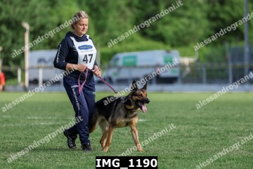 IMG_1190.jpg