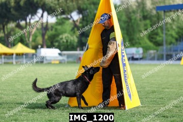 IMG_1200.jpg