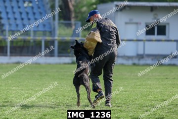 IMG_1236.jpg