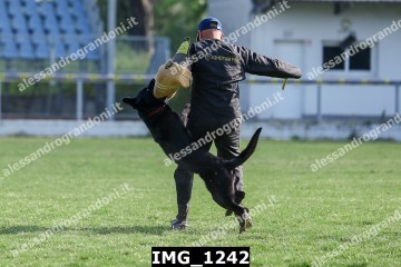 IMG_1242.jpg